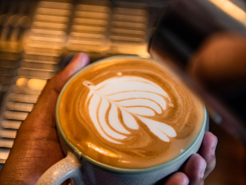 Iraga Coffee and Roastery Iraga Coffee and Roastery